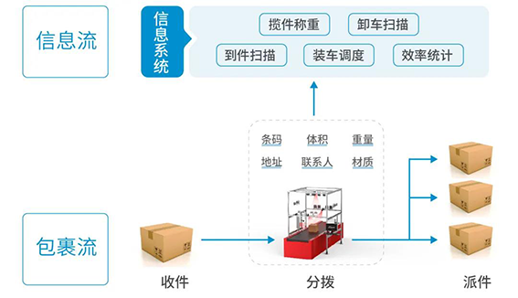 快递分拣流程卡通图片